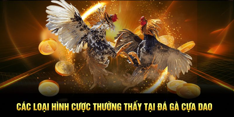 Các loại hình cược thường thấy tại Đá gà cựa dao