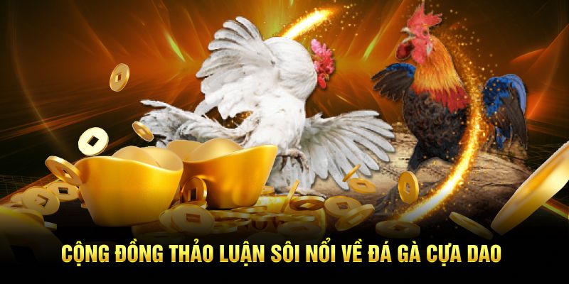 Cộng đồng thảo luận sôi nổi về đá gà cựa dao