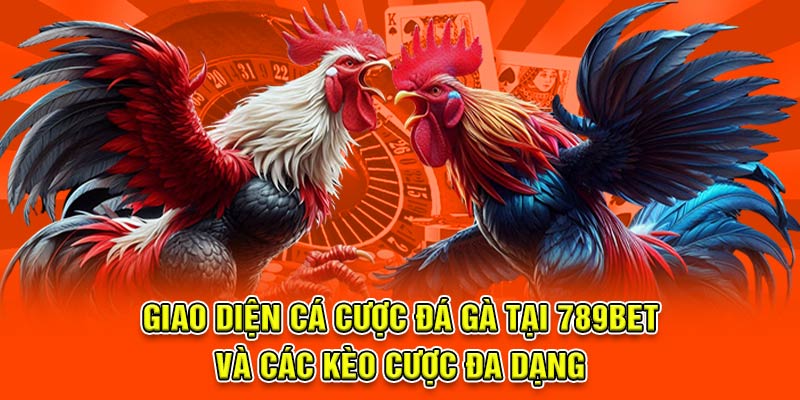 Giao diện cá cược đá gà và các kèo đa dạng