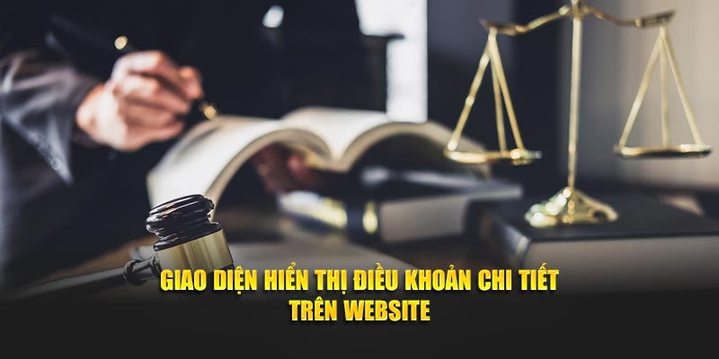 Giao diện hiển thị điều khoản chi tiết trên website