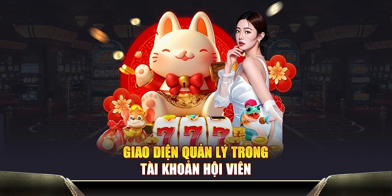 Giao diện quản lý trong tài khoản hội viên