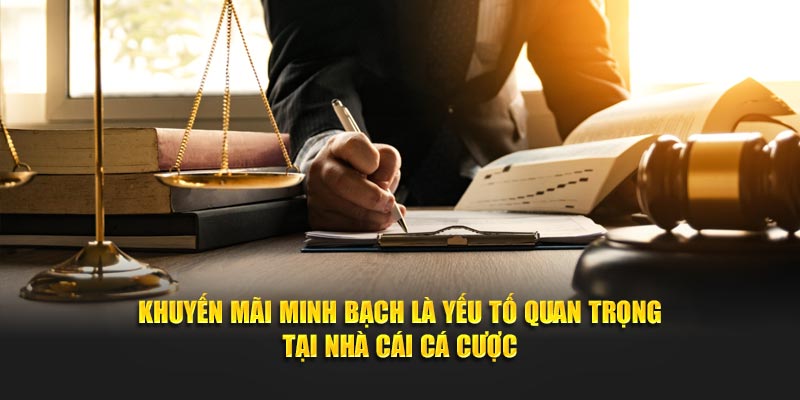Khuyến mãi minh bạch là yếu tố quan trọng tại nhà cái cá cược